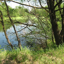 Схема вышивки «тишина»