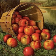 Схема вышивки «урожай»