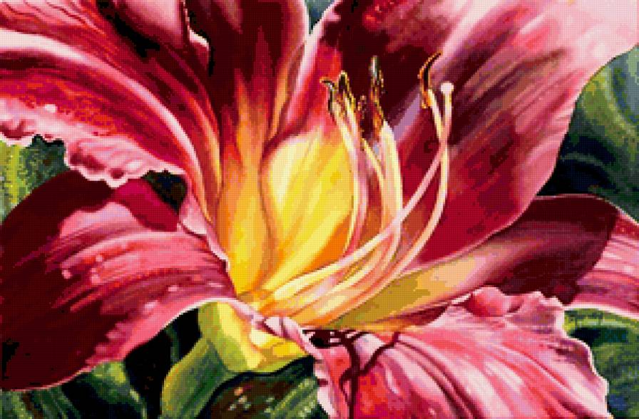 лилейник - предпросмотр