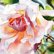 Схема вышивки «роза»