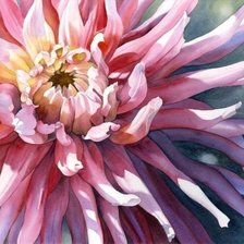 Схема вышивки «георгин»