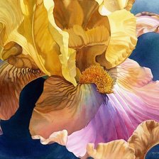 Схема вышивки «ирис»