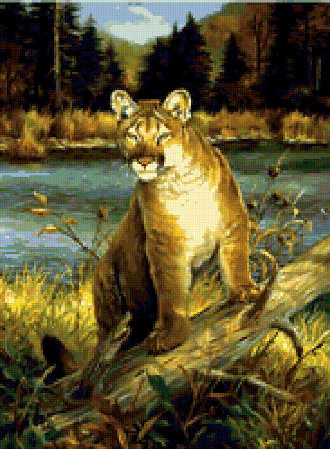 0112 - природа, леопард, картина, животные, красота, кошки - предпросмотр