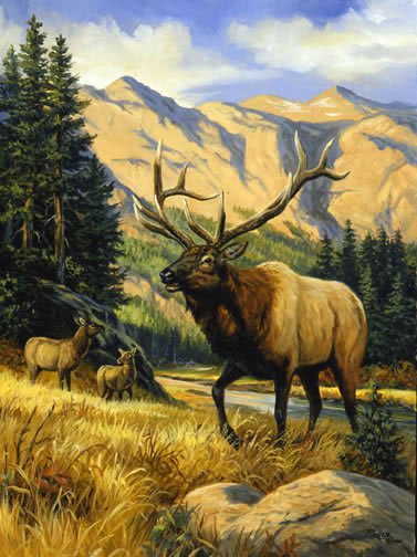 0113 - картина, природа, лось, лето, красота, животные, лес, горы - оригинал