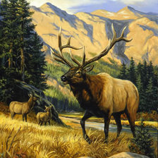 Схема вышивки «0113»