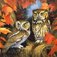 Схема вышивки «0115»