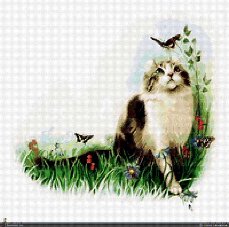 Кот и бабочка - природа, кот. бабочка - предпросмотр