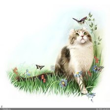 Схема вышивки «Кот и бабочка»