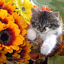 Схема вышивки «картина»