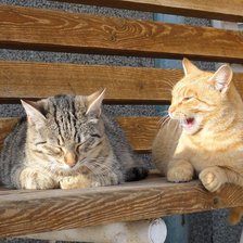 Схема вышивки «на лавочке»