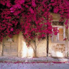 Схема вышивки «Стена в цветах»