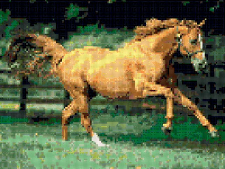 скакун - лошади - предпросмотр