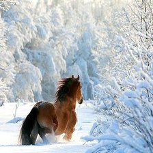 Схема вышивки «зима»