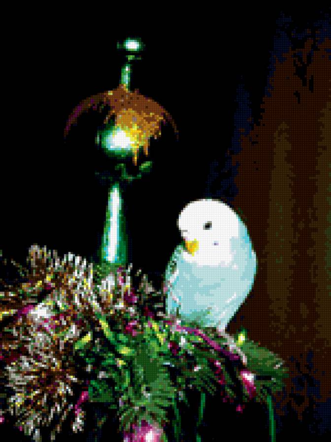 попугайчик - птицы - предпросмотр