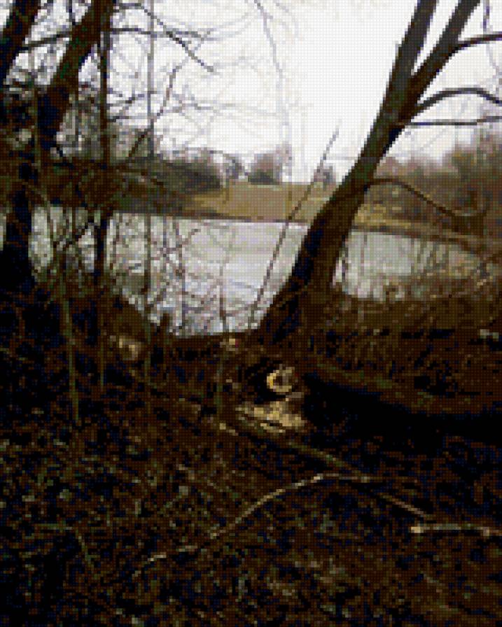 пруд - природа, вода - предпросмотр