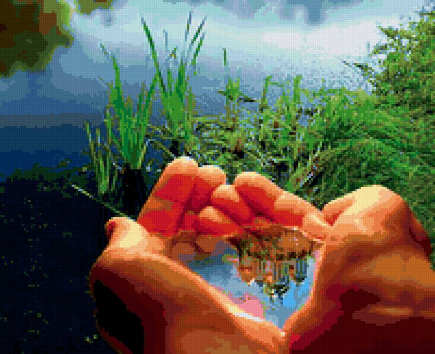 жизнь - природа - предпросмотр