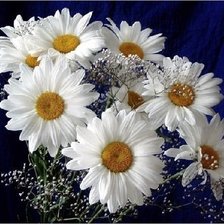 Схема вышивки «ромашки»