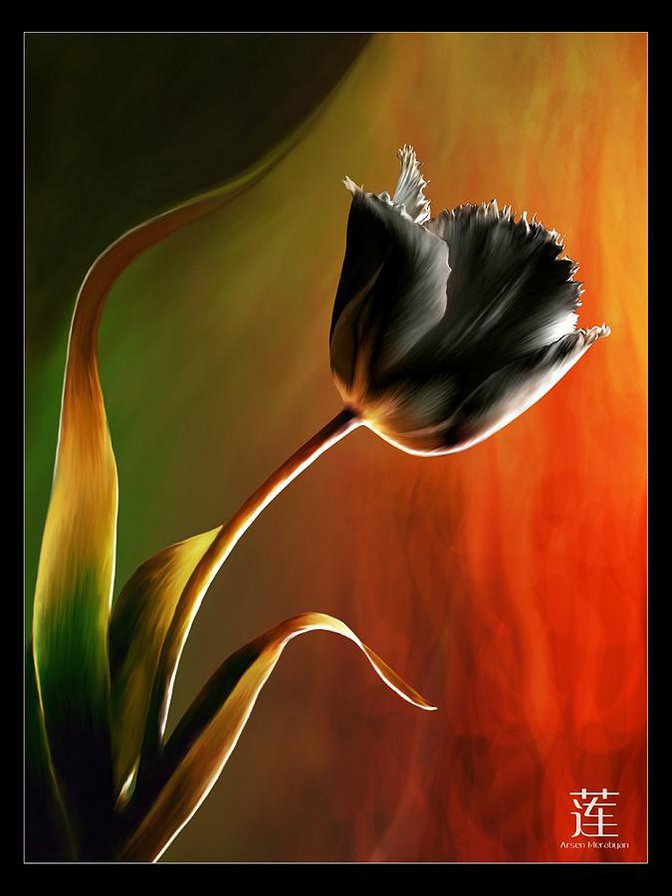 тюльпан - тюльпаны, цветы, цветок - оригинал