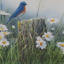 Схема вышивки «№380371»