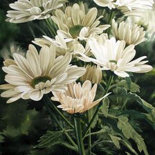 Схема вышивки «цветы»