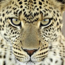 Схема вышивки «Ах этот взгляд...»