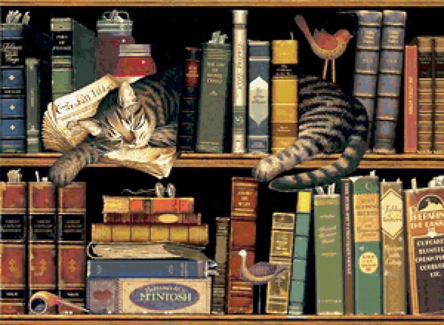 кот - книги - предпросмотр