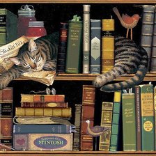 Схема вышивки «кот»