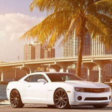 Схема вышивки «Camaro Palm»