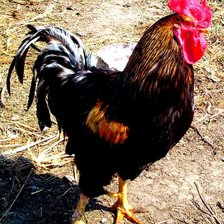 Схема вышивки «№380855»