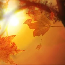 Схема вышивки «осеннее солнце»