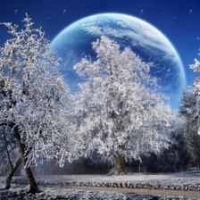 Схема вышивки «зимняя фантазия»