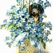 Схема вышивки «незабудки»