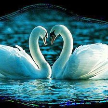 Схема вышивки «лебеди»