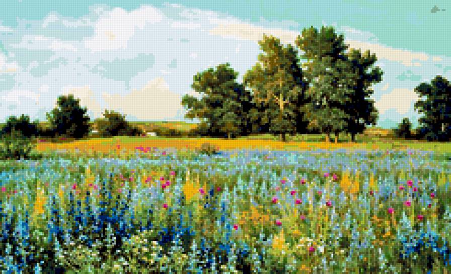 Донское разнотравье. - полевые цветы, лето, пейзаж - предпросмотр