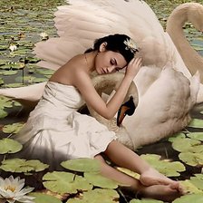 Схема вышивки «№381541»