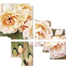 Схема вышивки «№381544»