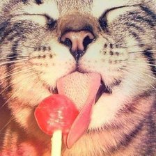 Схема вышивки «кот»