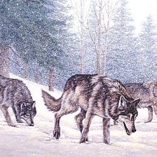 Схема вышивки «Волки»