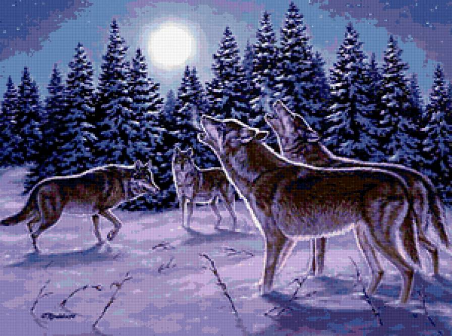 Волки - волки, зима - предпросмотр