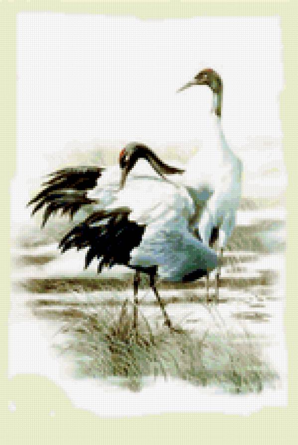 №381769 - предпросмотр