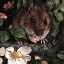 Схема вышивки «№381775»