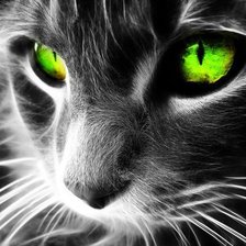 Схема вышивки «кот»