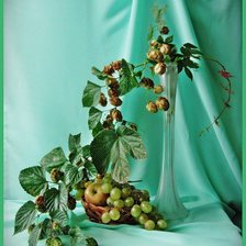 Схема вышивки «№381960»