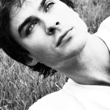 Схема вышивки «Иен Сомерхолдер»