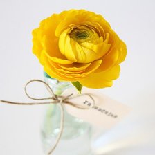 Схема вышивки «лютик»