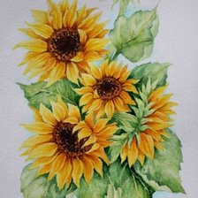 Схема вышивки «подсолнухи»