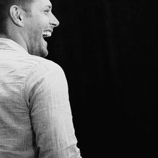 Схема вышивки «Дженсен Эклз»