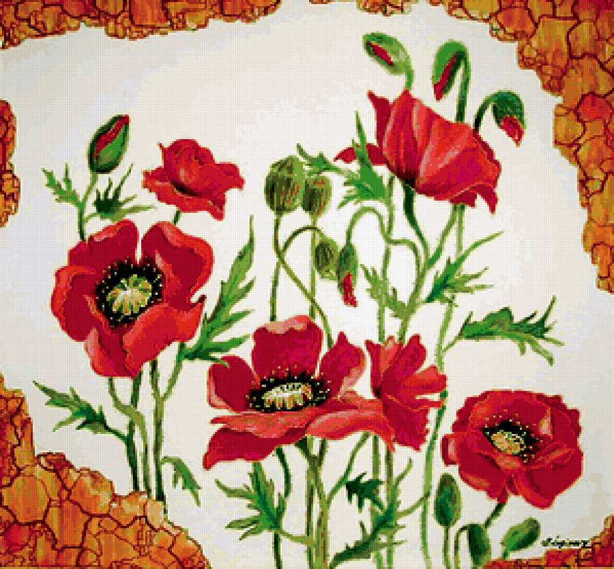 маки - предпросмотр