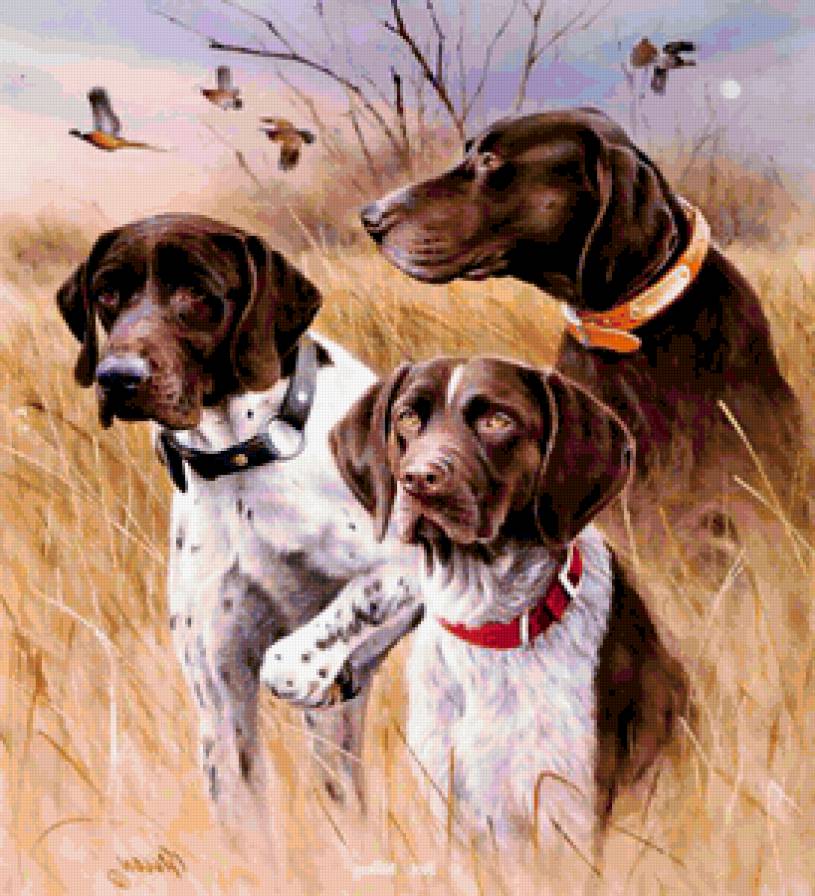 охота - предпросмотр