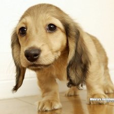 Схема вышивки «№382313»